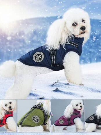 Manteau d’hiver pour chien : tissu technique, réfléchissant, imperméable pour un confort maximal du chien